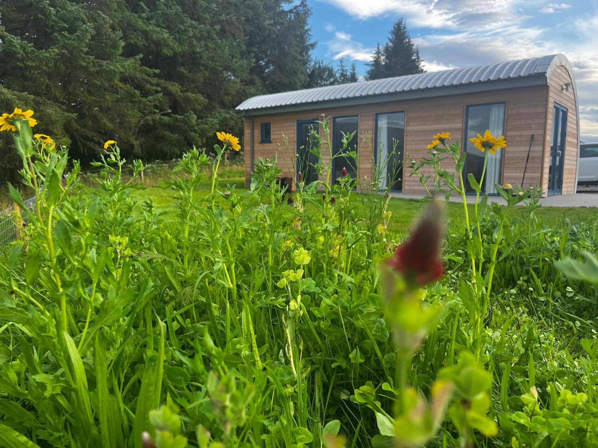 Ceo Mara Croft B&B & 2 Luxury Cabins Taynuilt Eksteriør billede